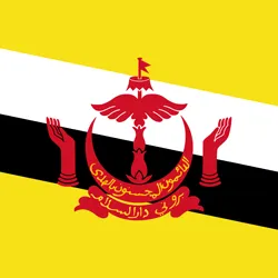 Brunei' flag