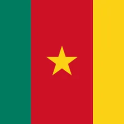 Cameroon' flag
