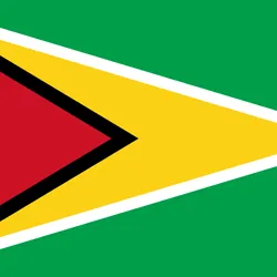 Guyana' flag
