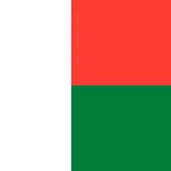 Madagascar' flag