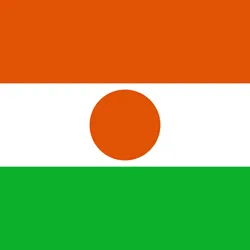 Niger' flag