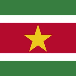 Suriname' flag