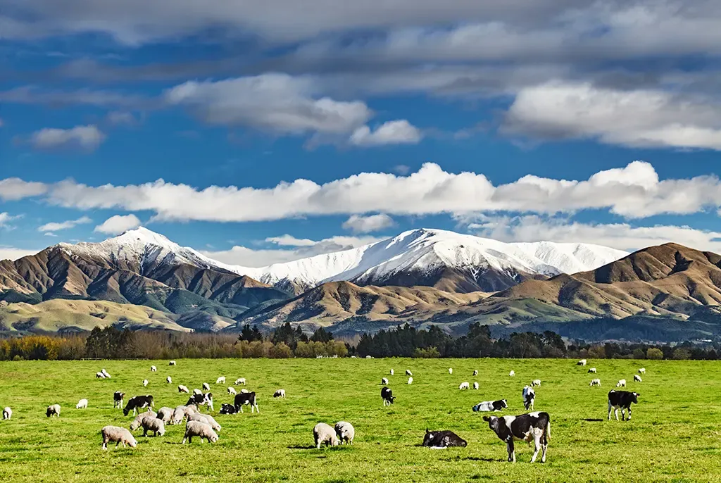 Best Solo Travel Destinations